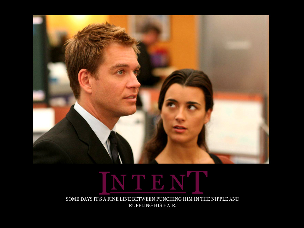Funny_Wallpapers_Funny-Wallpapers-tony-ziva-mcgee-and-abby